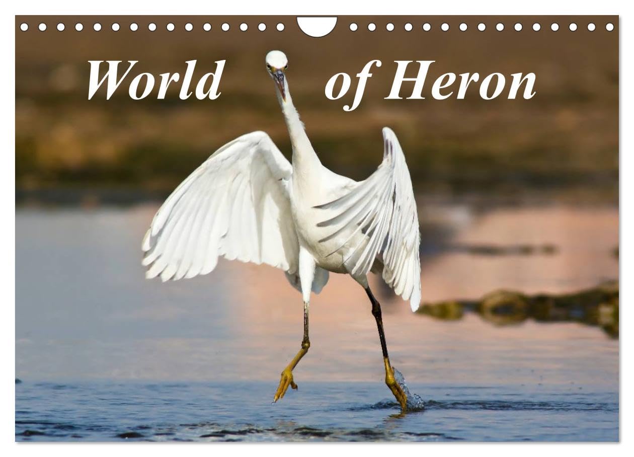World of Heron (Wall Calendar 2026 DIN A4 landscape), CALVENDO 12 Month Wall Calendar: The most common herons from all around the world. Natural Sciences