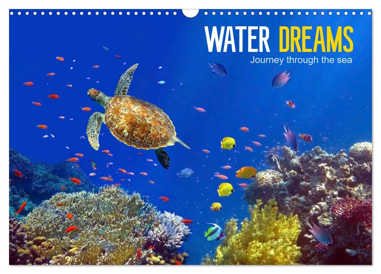 Water Dreams-journey through the sea (Wall Calendar 2026 DIN A3 landscape), CALVENDO 12 Month Wall Calendar: Water Dreams. Dive into the wonderful underwater world Leisure, Home & Garden