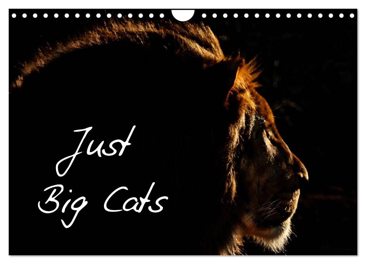 Just Big Cats (Wall Calendar 2026 DIN A4 landscape), CALVENDO 12 Month Wall Calendar: Magnificent Felines from Around the World Natural Sciences