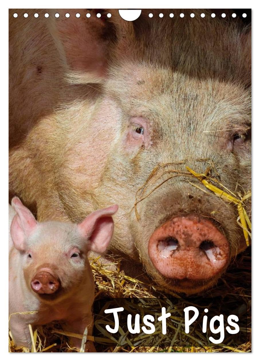 Just Pigs (Wall Calendar 2026 DIN A4 portrait), CALVENDO 12 Month Wall Calendar: Images of Pigs and Piglets Natural Sciences