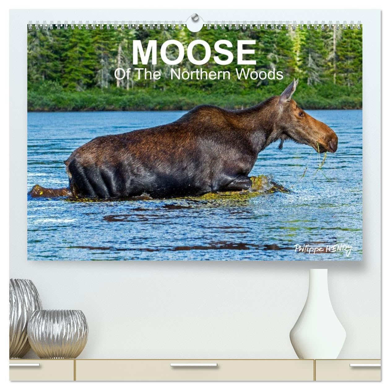 MOOSE Of The Northern Woods (High Quality Premium Wall Calendar 2026 DIN A2 landscape),CALVENDO 12 Month Wall Calendar: Let's follow the moose of ... presents 13 photos of this silent giant. Natural Sciences