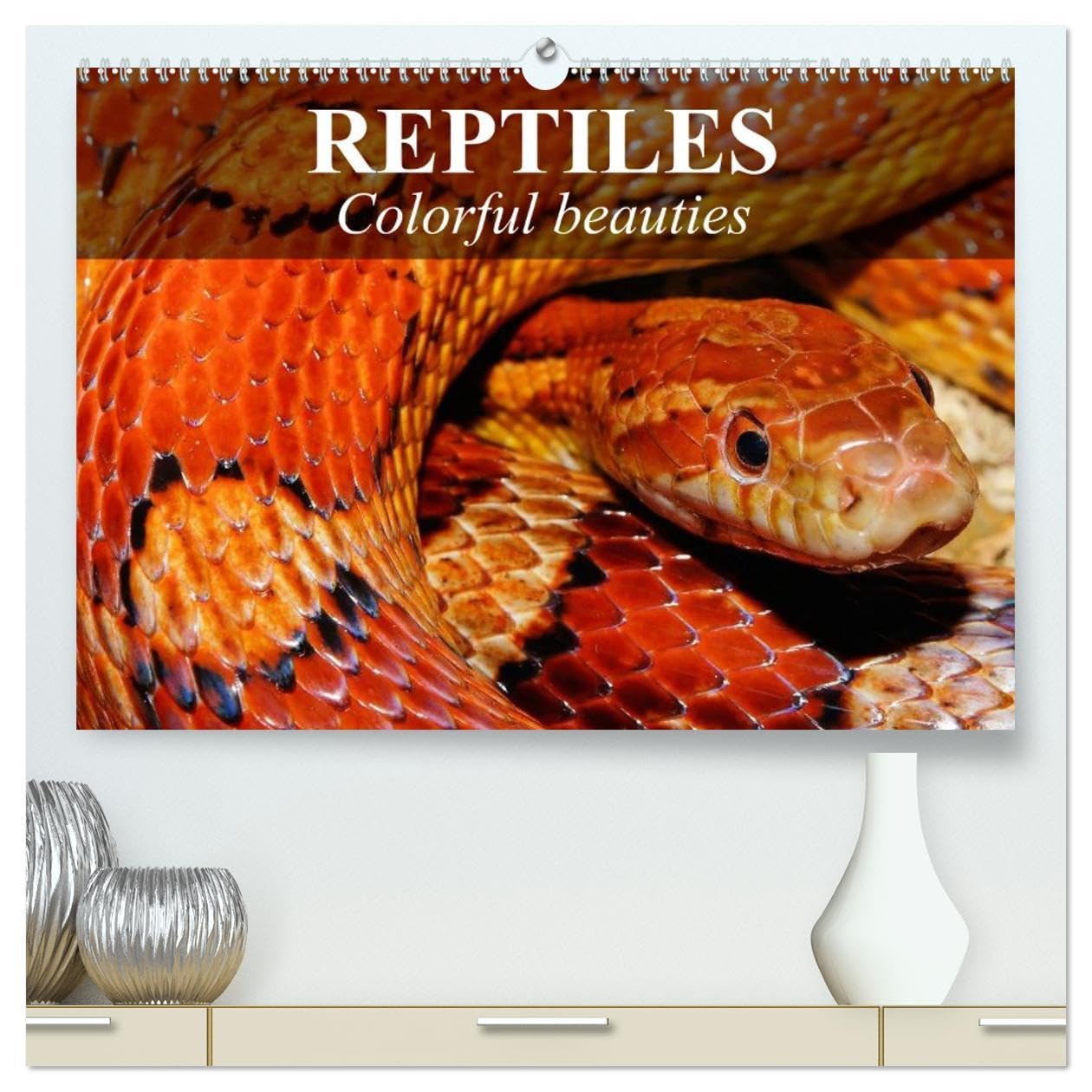 Reptiles Colorful beauties (High Quality Premium Wall Calendar 2026 DIN A2 landscape),CALVENDO 12 Month Wall Calendar: Cold-blooded beauties Business & Technology