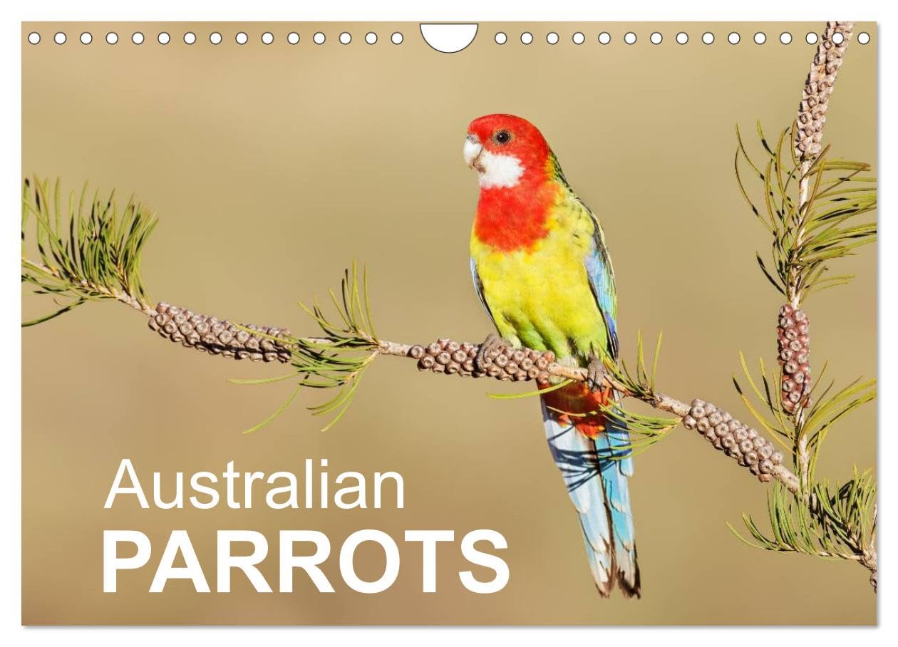 Australian Parrots (Wall Calendar 2026 DIN A4 landscape), CALVENDO 12 Month Wall Calendar: Beautiful photographs of Australian Parrots Natural Sciences