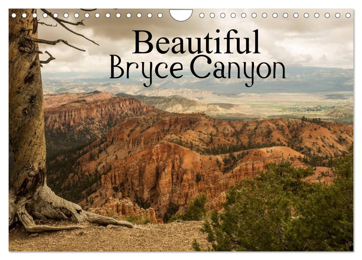 Beautiful Bryce Canyon (Wall Calendar 2026 DIN A4 landscape), CALVENDO 12 Month Wall Calendar: Bryce Canyon - famous for its unique geology of ... of the Paunsaugunt Plateau in southern Utah. Leisure, Home & Garden