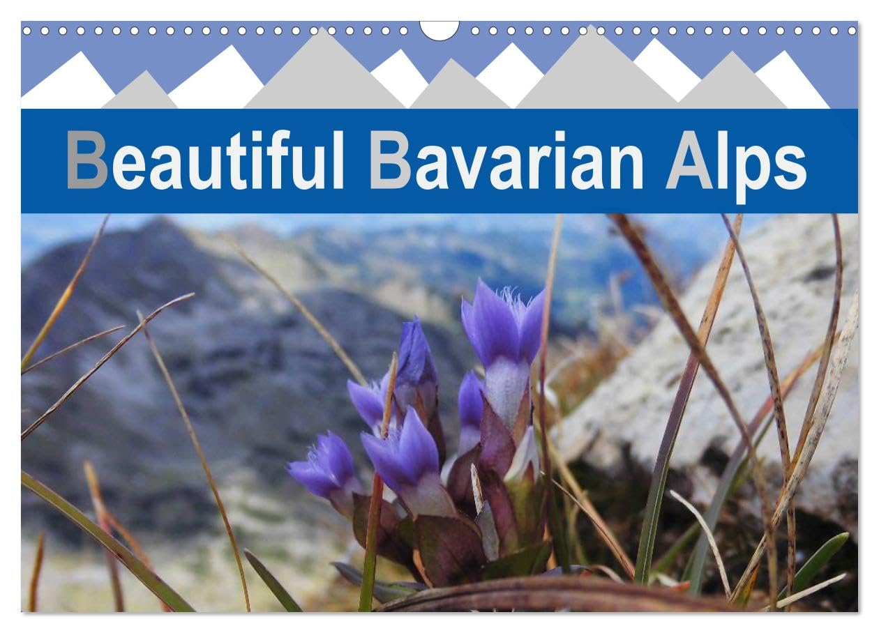 Beautiful Bavarian Alps (Wall Calendar 2026 DIN A3 landscape), CALVENDO 12 Month Wall Calendar: Beautiful images of the German Alps Leisure, Home & Garden