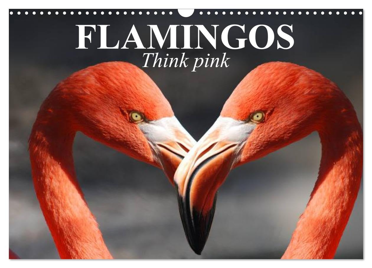 Flamingos Think pink (Wall Calendar 2026 DIN A3 landscape), CALVENDO 12 Month Wall Calendar: These beauties have long fascinated people Natural Sciences