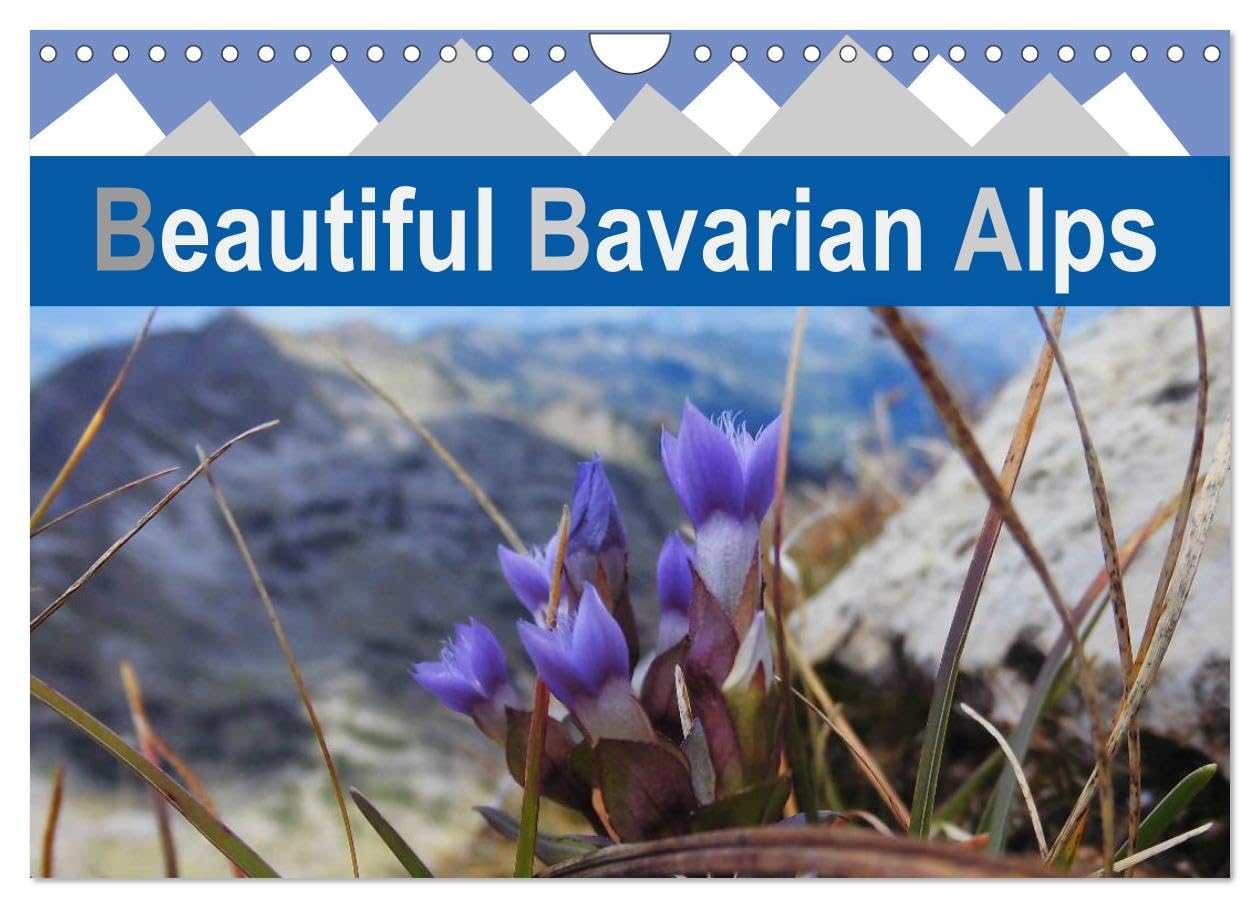 Beautiful Bavarian Alps (Wall Calendar 2026 DIN A4 landscape), CALVENDO 12 Month Wall Calendar: Beautiful images of the German Alps Leisure, Home & Garden