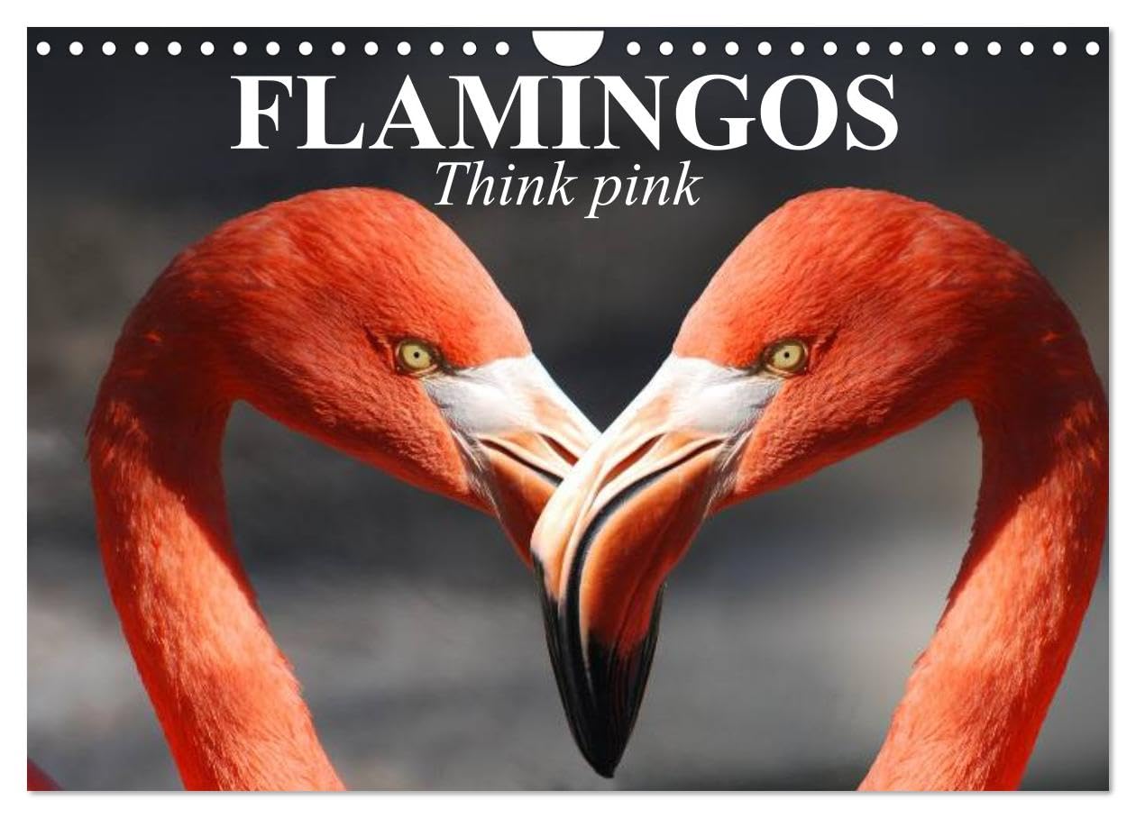 Flamingos Think pink (Wall Calendar 2026 DIN A4 landscape), CALVENDO 12 Month Wall Calendar: These beauties have long fascinated people Natural Sciences