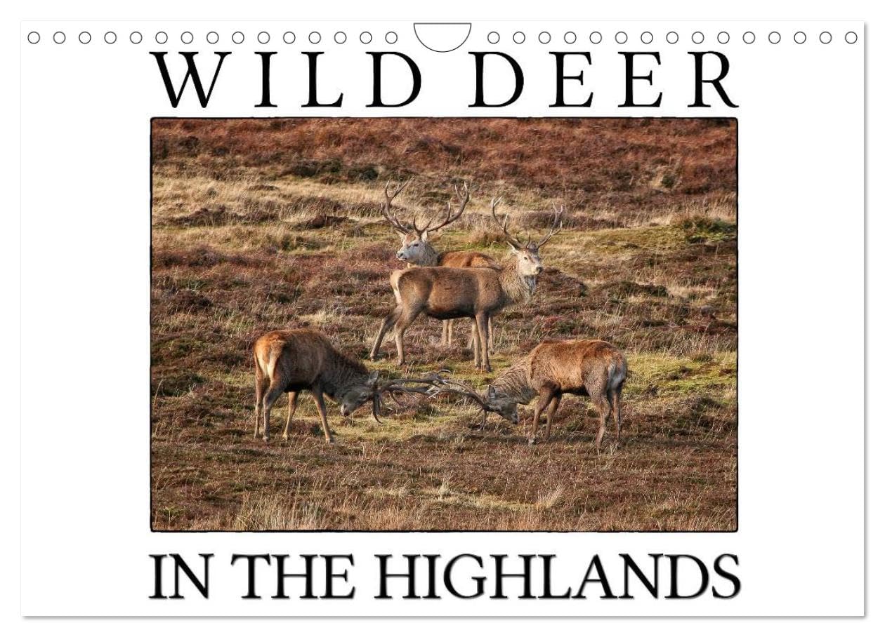 Wild Deer In The Highlands (Wall Calendar 2026 DIN A4 landscape), CALVENDO 12 Month Wall Calendar: Enjoy the majestic beauty of wild deer in its natural environment Natural Sciences