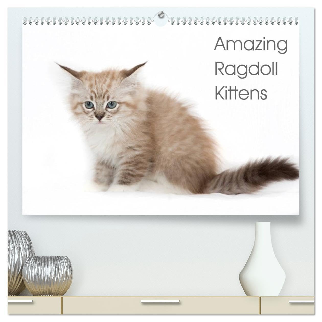 Amazing Ragdoll Kittens (High Quality Premium Wall Calendar 2026 DIN A2 landscape),CALVENDO 12 Month Wall Calendar: beautyfull little ragdoll Kittens Natural Sciences