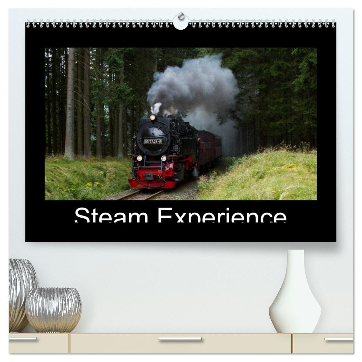 Steam Experience (High Quality Premium Wall Calendar 2026 DIN A2 landscape),CALVENDO 12 Month Wall Calendar: Steam locomotives in the heart of Germany Books