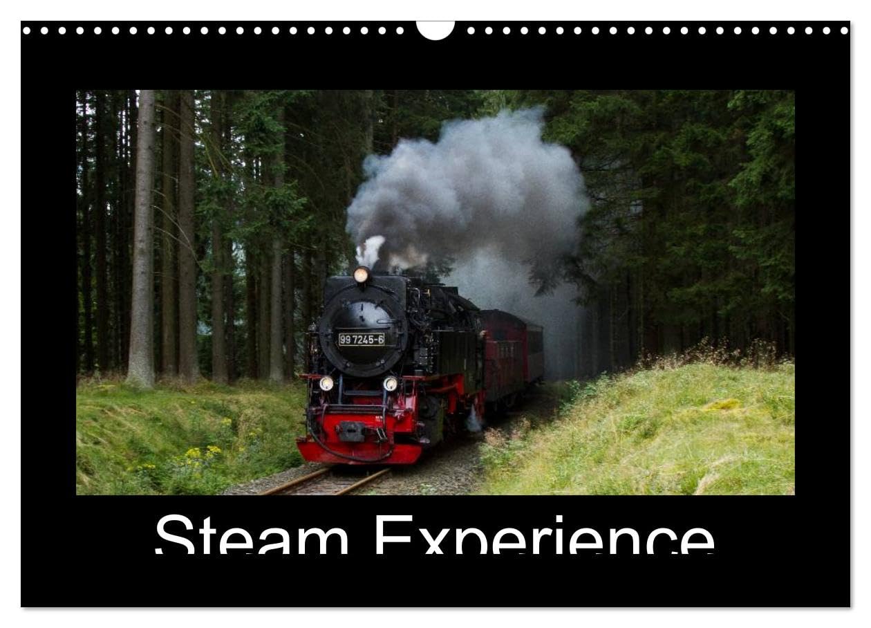 Steam Experience (Wall Calendar 2026 DIN A3 landscape), CALVENDO 12 Month Wall Calendar: Steam locomotives in the heart of Germany Books