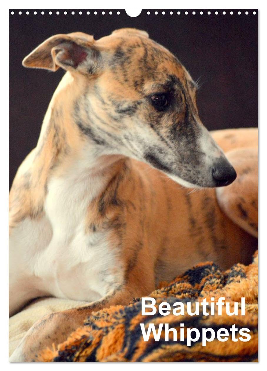Beautiful Whippets (Wall Calendar 2026 DIN A3 portrait), CALVENDO 12 Month Wall Calendar: Whippets are small english Sighthounds Natural Sciences