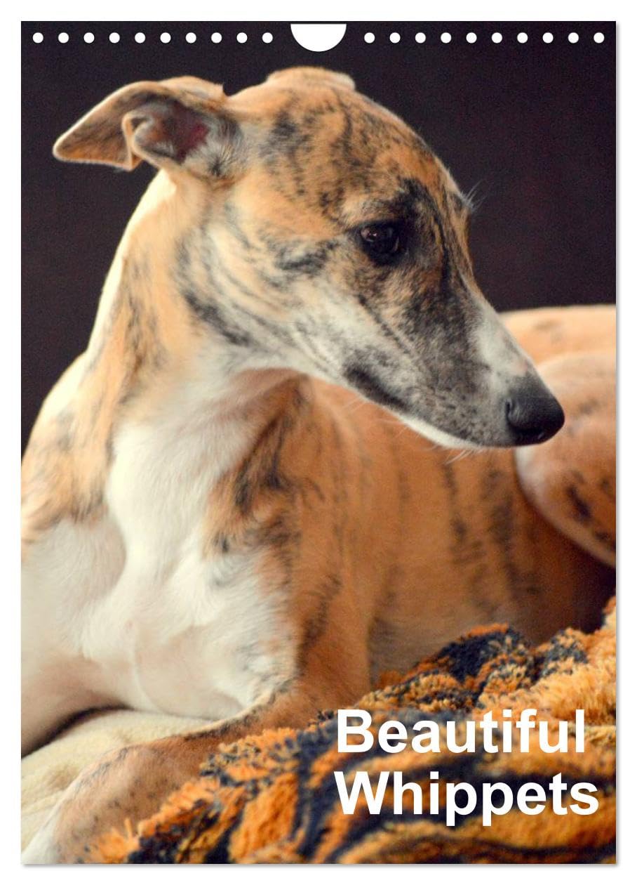 Beautiful Whippets (Wall Calendar 2026 DIN A4 portrait), CALVENDO 12 Month Wall Calendar: Whippets are small english Sighthounds Natural Sciences
