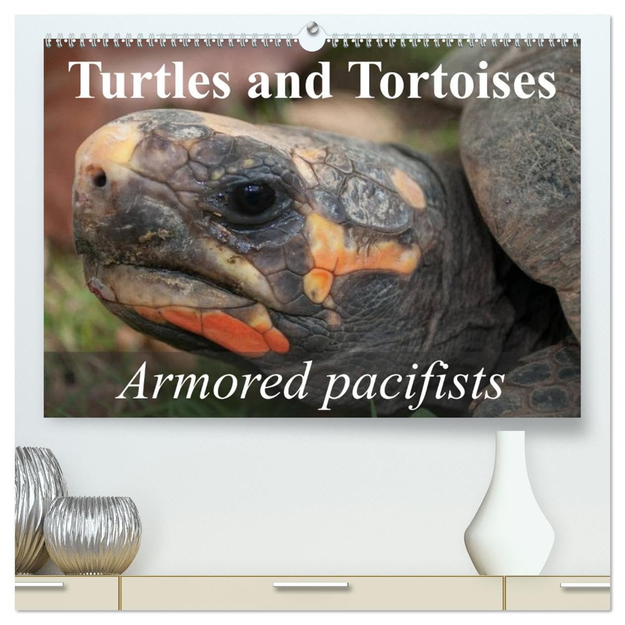 Turtles and Tortoises - Armored pacifists (High Quality Premium Wall Calendar 2026 DIN A2 landscape),CALVENDO 12 Month Wall Calendar: Oldest and most original of all reptiles Natural Sciences