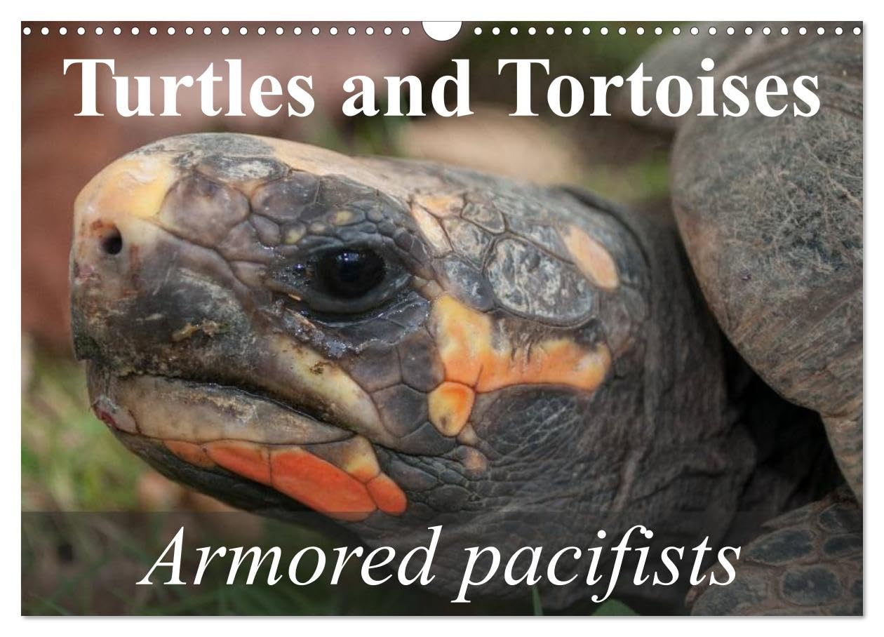 Turtles and Tortoises - Armored pacifists (Wall Calendar 2026 DIN A3 landscape), CALVENDO 12 Month Wall Calendar: Oldest and most original of all reptiles Natural Sciences