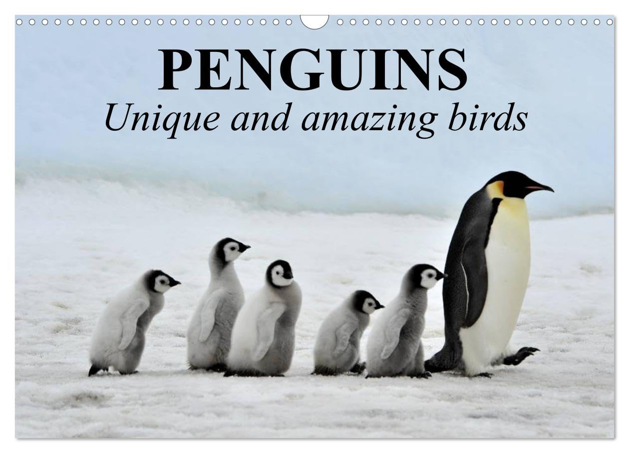 Penguins Unique and amazing birds (Wall Calendar 2026 DIN A3 landscape), CALVENDO 12 Month Wall Calendar: The most recognizable and beloved birds in the world Natural Sciences