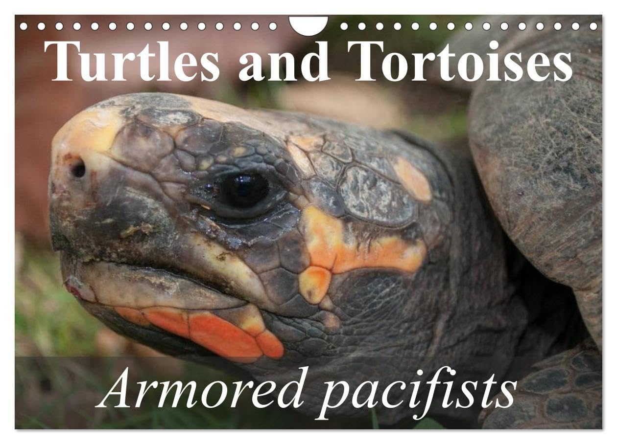 Turtles and Tortoises - Armored pacifists (Wall Calendar 2026 DIN A4 landscape), CALVENDO 12 Month Wall Calendar: Oldest and most original of all reptiles Natural Sciences