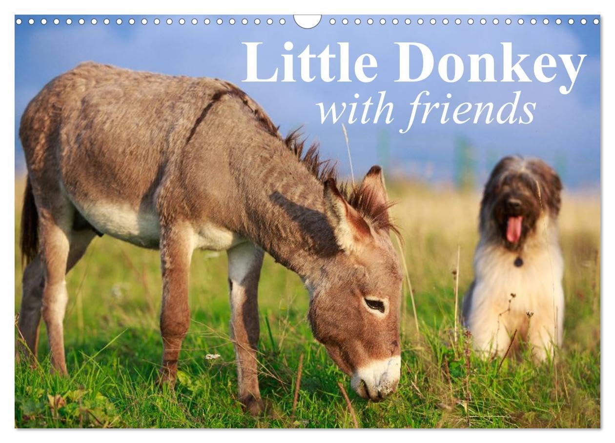 Little Donkey with Friends (Wall Calendar 2026 DIN A3 landscape), CALVENDO 12 Month Wall Calendar: Sweet donkey with his lovley Friends Natural Sciences