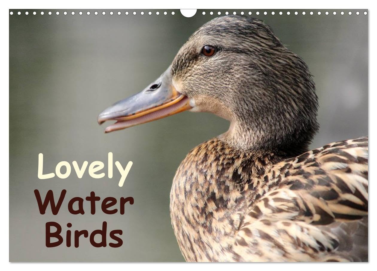 Lovely Water Birds (Wall Calendar 2026 DIN A3 landscape), CALVENDO 12 Month Wall Calendar: Expressive moments of ducks, swans and wild geese Natural Sciences