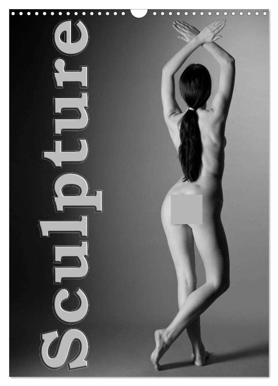 Sculpture (Wall Calendar 2026 DIN A3 portrait), CALVENDO 12 Month Wall Calendar: Aesthetic Black and White Nude Photography Photography