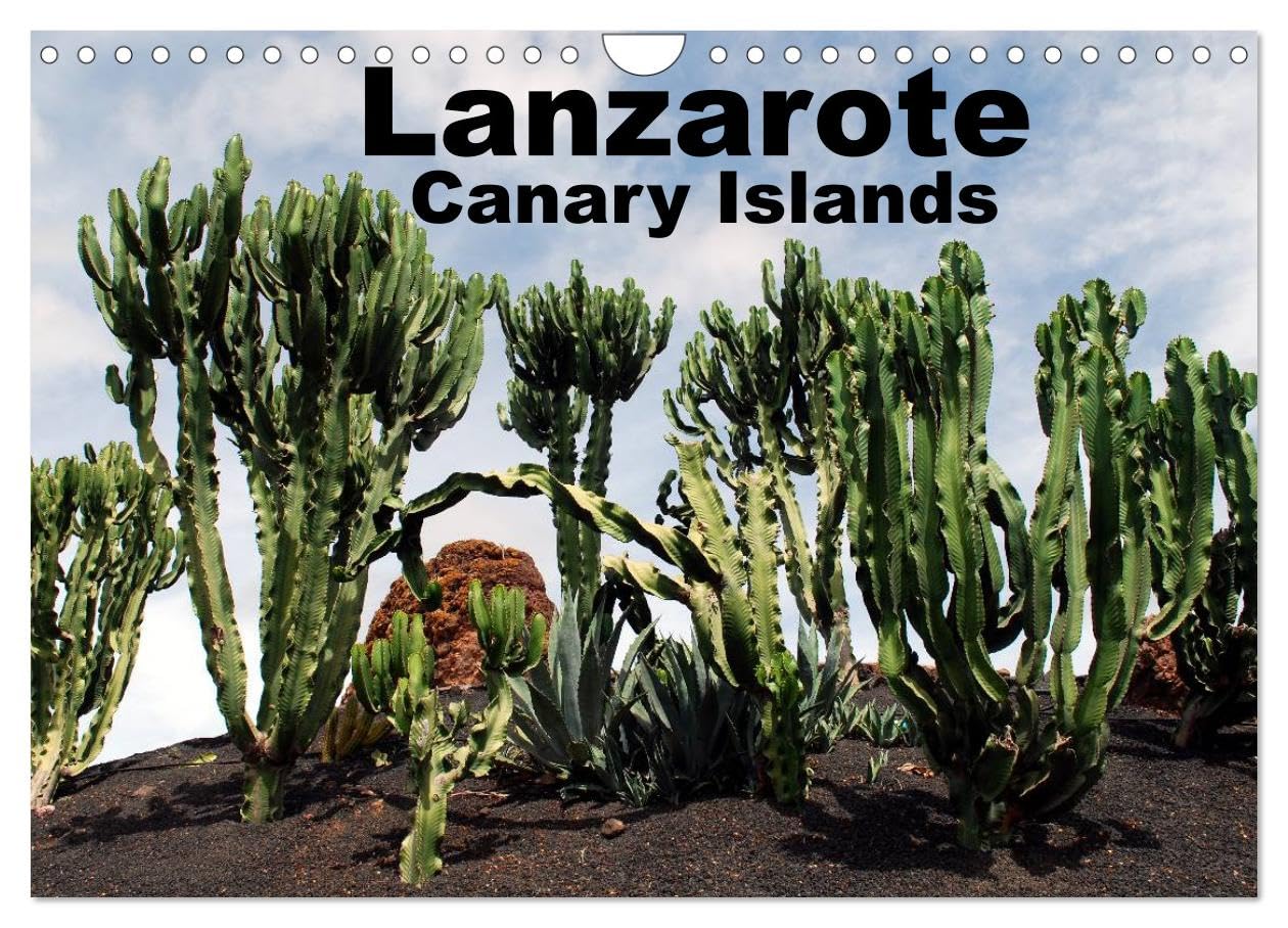 Lanzarote - Canary Islands (Wall Calendar 2026 DIN A4 landscape), CALVENDO 12 Month Wall Calendar: Fantastic Views Leisure, Home & Garden