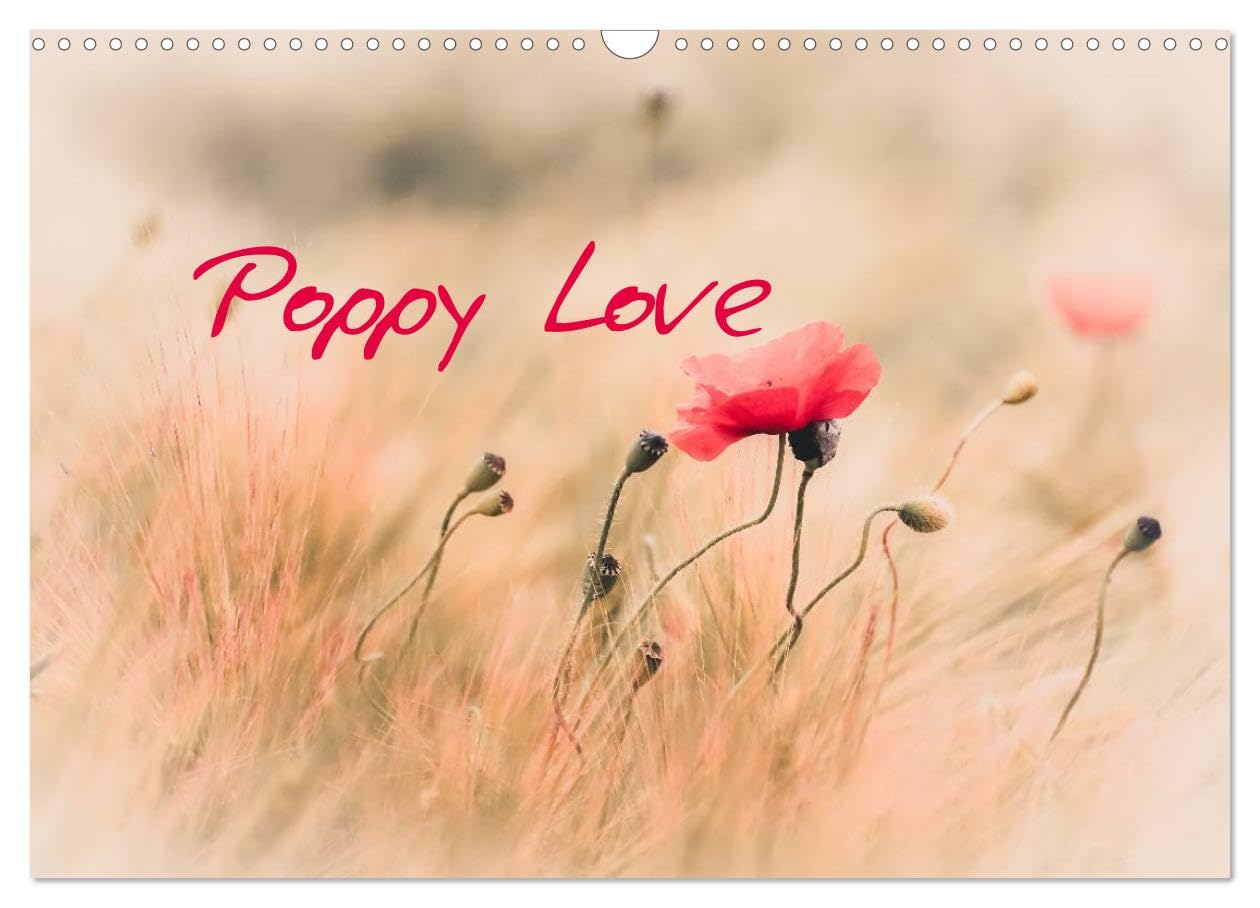 Poppy Love (Wall Calendar 2026 DIN A3 landscape), CALVENDO 12 Month Wall Calendar: Adorable poppy flowers Social Sciences