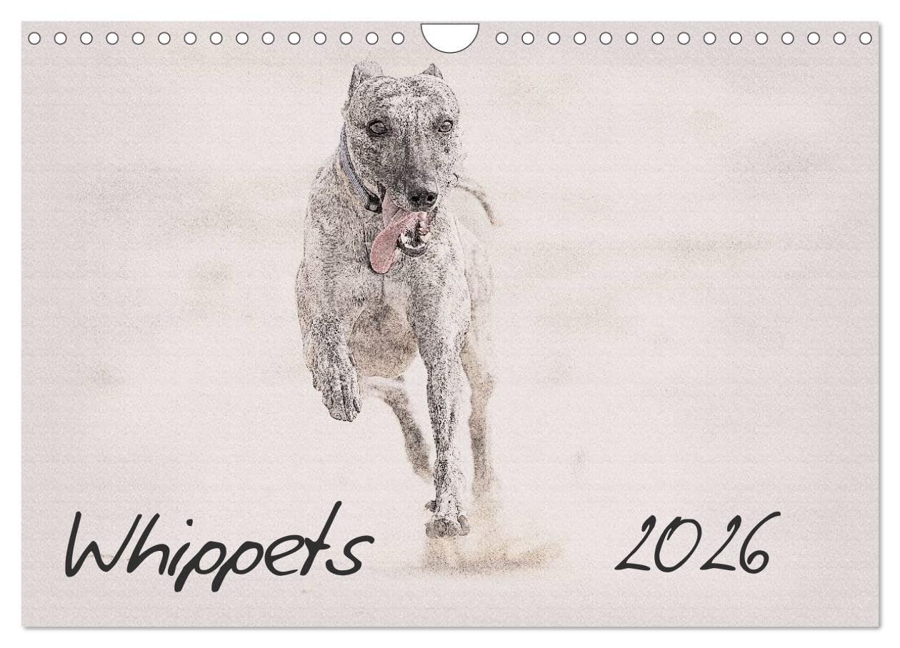 Whippets 2026 (Wall Calendar 2026 DIN A4 landscape), CALVENDO 12 Month Wall Calendar: This high-class wall-calendar presents impressive images of the Whippets in all its beauty. Natural Sciences