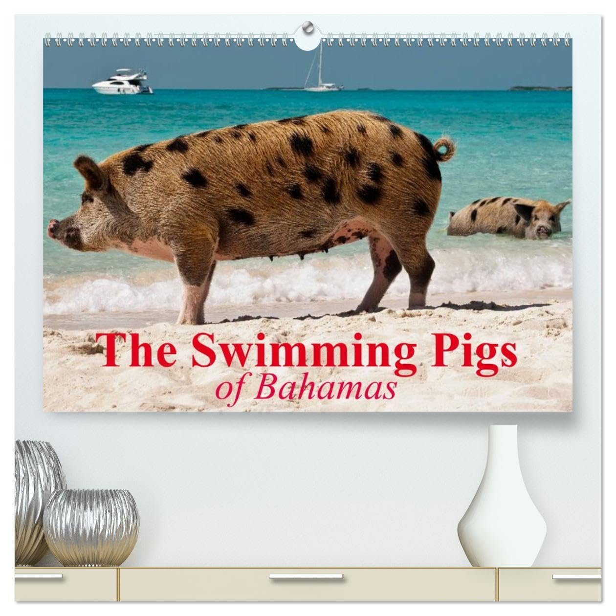The Swimming Pigs of Bahamas (High Quality Premium Wall Calendar 2026 DIN A2 landscape),CALVENDO 12 Month Wall Calendar: The Happy Pigs of the Big Majors Cay Natural Sciences