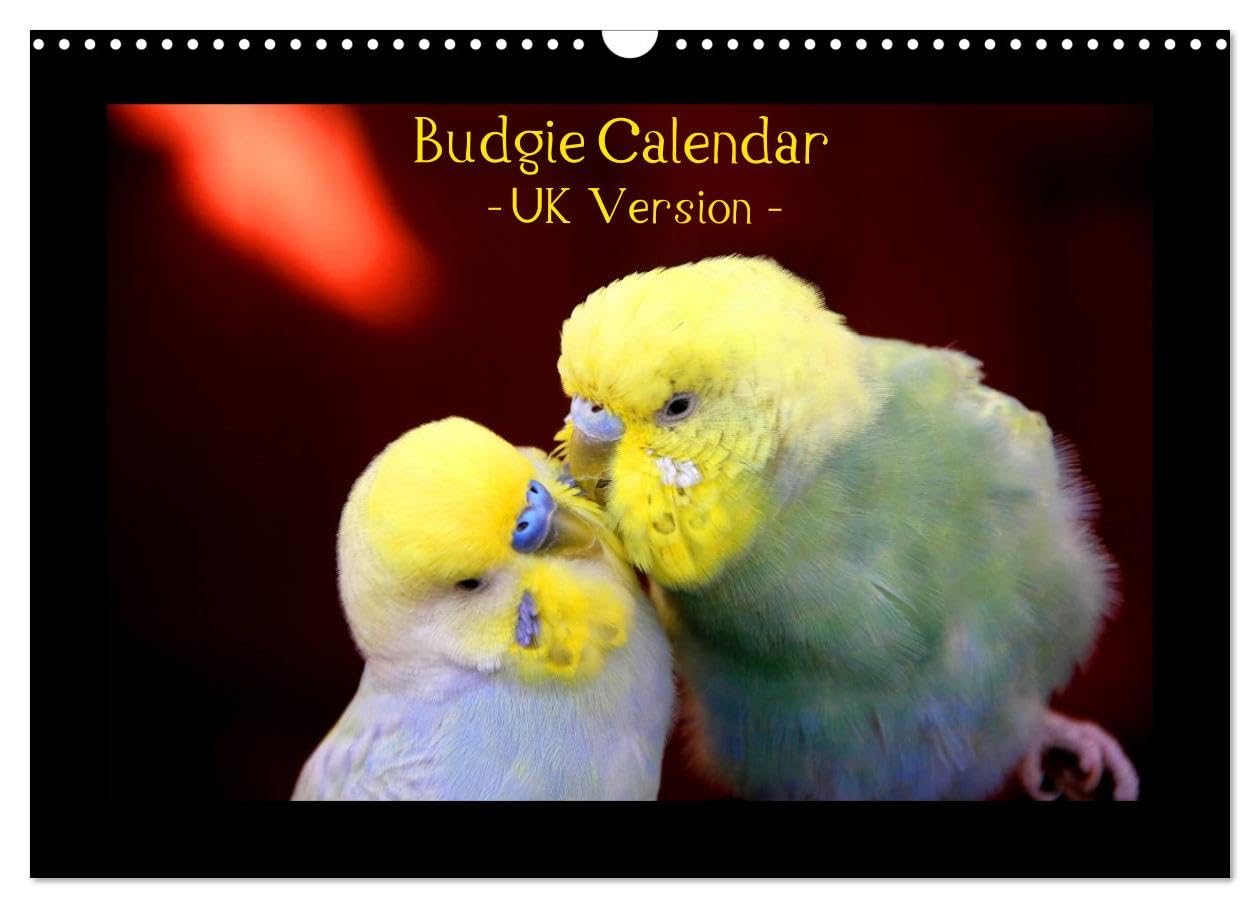 Budgie Calendar - UK Version (Wall Calendar 2026 DIN A3 landscape), CALVENDO 12 Month Wall Calendar: CALVENDO presents nature photographer Björn ... calendar - already the No. 1 in Germany. Social Sciences