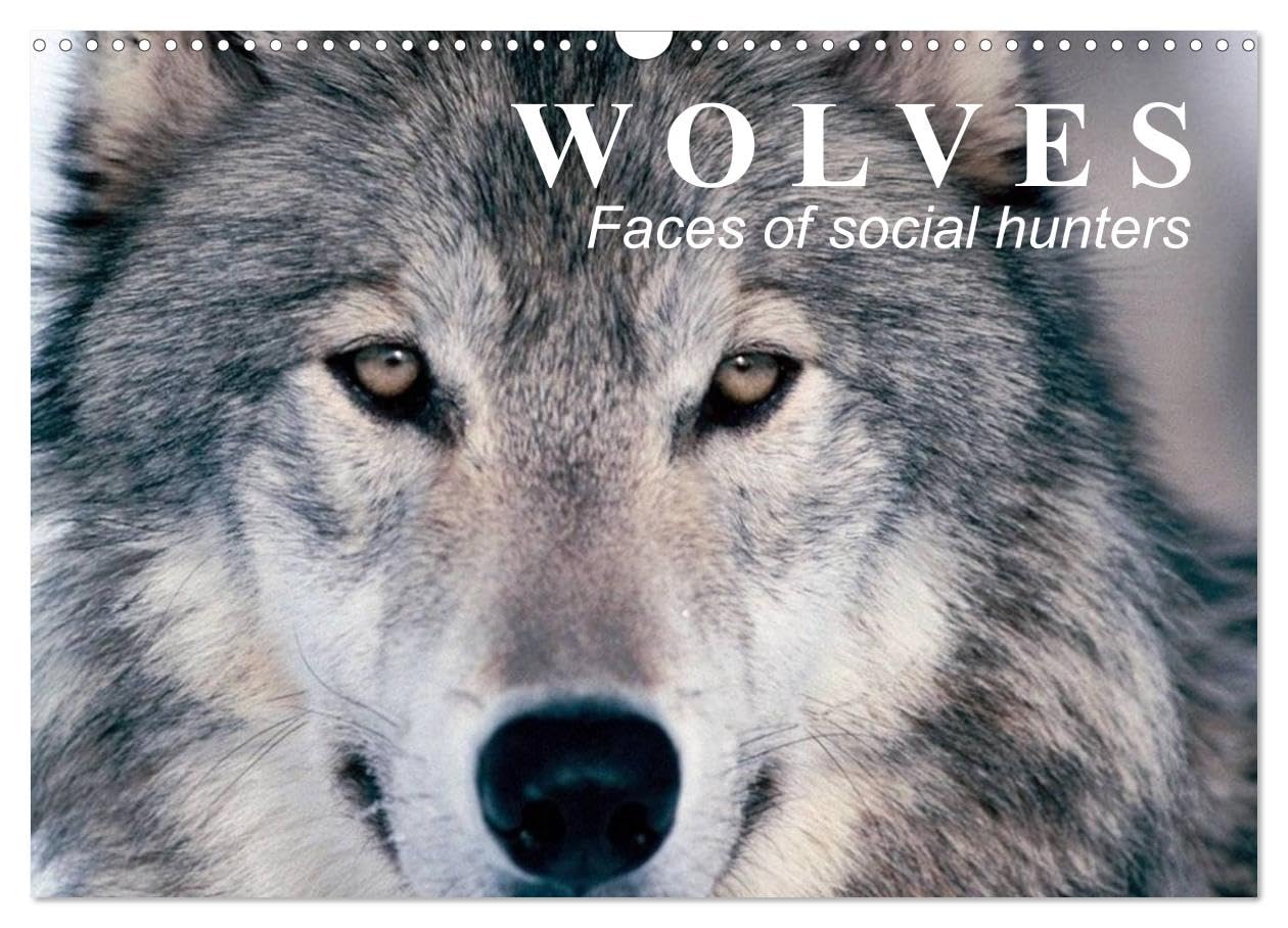 Wolves ¿ Faces of social hunters (Wall Calendar 2026 DIN A3 landscape), CALVENDO 12 Month Wall Calendar: Fascinating creatures between truth and fairy tales Natural Sciences