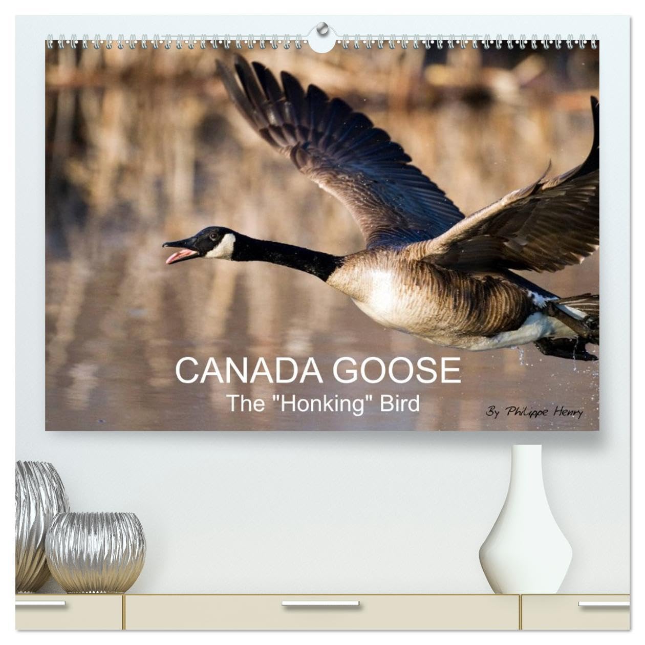 CANADA GOOSE / UK-Version (High Quality Premium Wall Calendar 2026 DIN A2 landscape),CALVENDO 12 Month Wall Calendar: The "honking" bird Natural Sciences