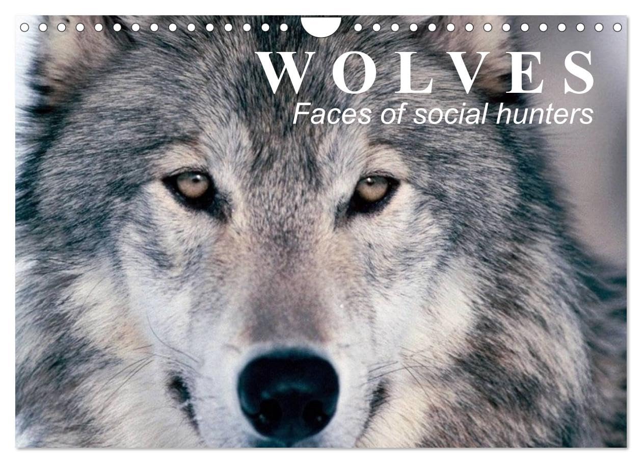 Wolves ¿ Faces of social hunters (Wall Calendar 2026 DIN A4 landscape), CALVENDO 12 Month Wall Calendar: Fascinating creatures between truth and fairy tales Natural Sciences