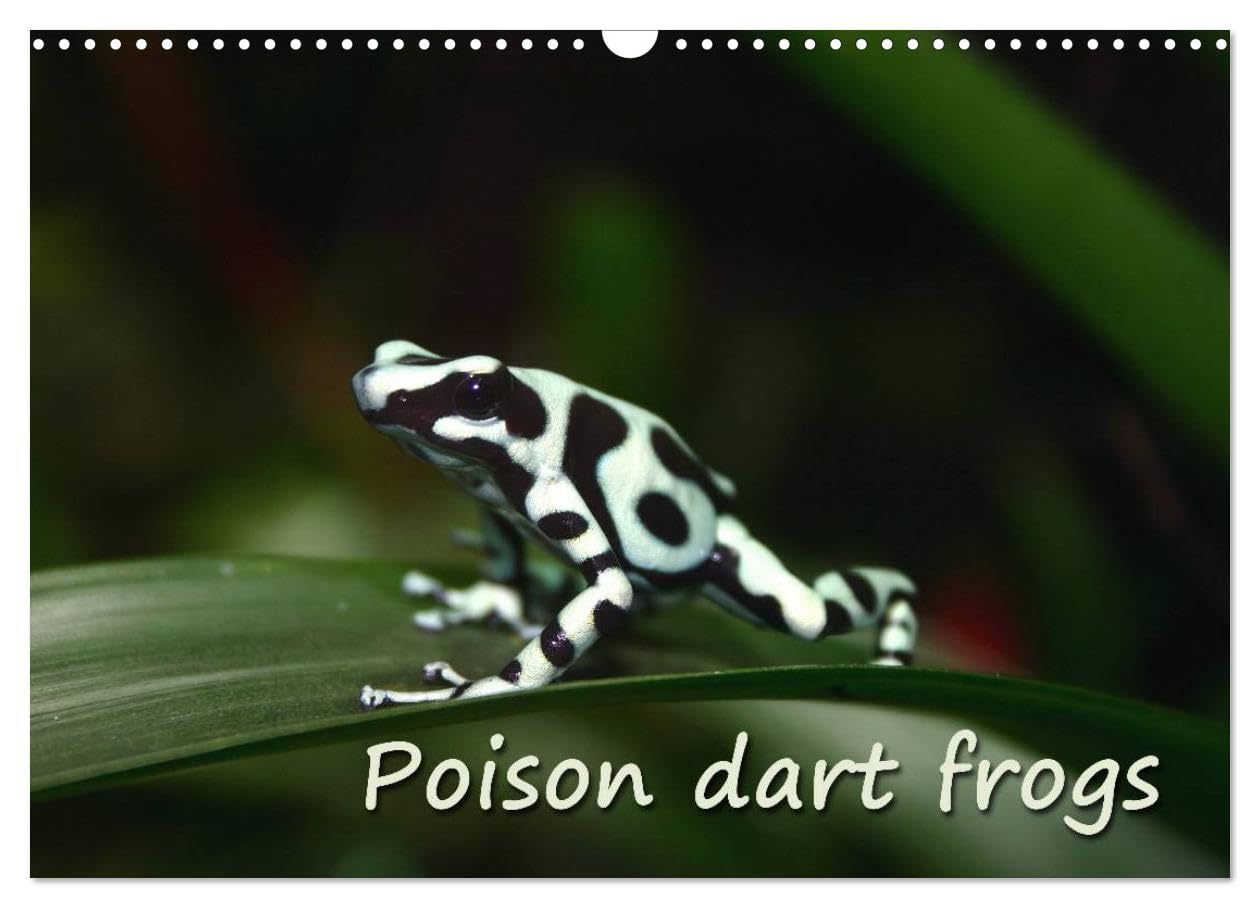 Poison dart frogs / UK-Version / Birthday Calendar (Wall Calendar 2026 DIN A3 landscape), CALVENDO 12 Month Wall Calendar: Poison dart frogs - the jewels of the rain forest Natural Sciences