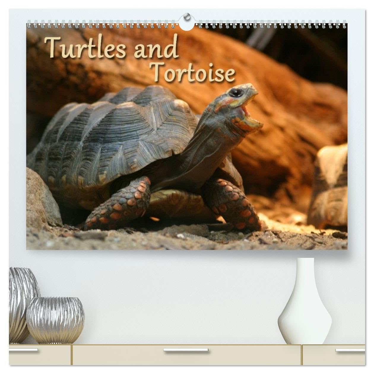 Turtles and Tortoise / UK-Version (High Quality Premium Wall Calendar 2026 DIN A2 landscape),CALVENDO 12 Month Wall Calendar: Beautiful Photos of turtles on land and water Natural Sciences