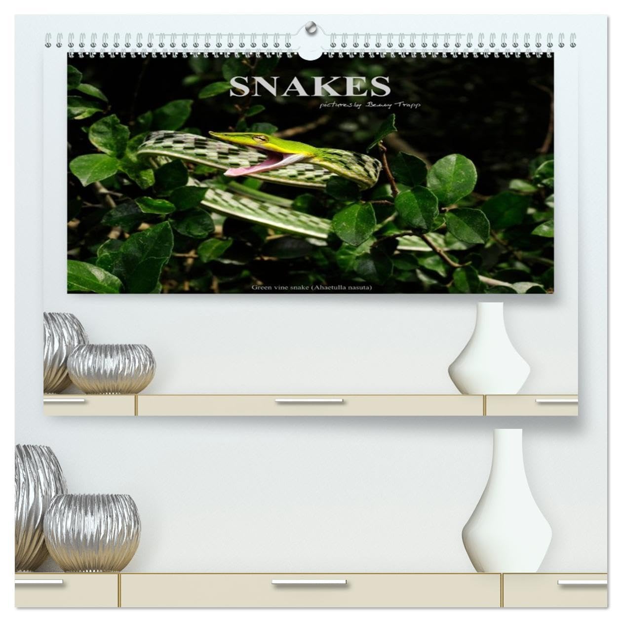 SNAKES / UK-Version (High Quality Premium Wall Calendar 2026 DIN A2 landscape),CALVENDO 12 Month Wall Calendar: Snakes, fascinating reptiles, snake calendar, reptile, Benny Trapp Business & Technology