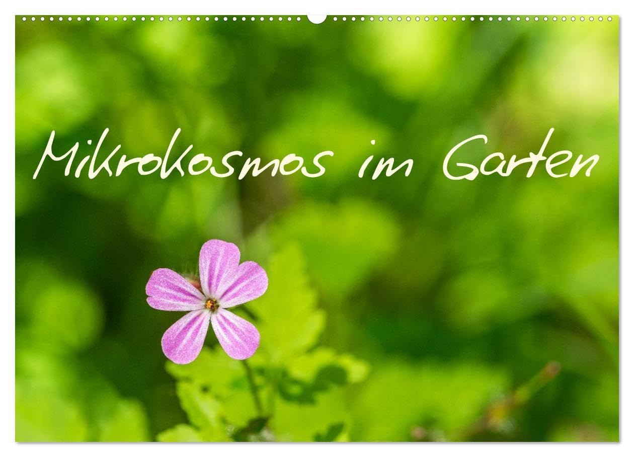 Mikrokosmos im Garten (Wandkalender 2026 DIN A2 quer), CALVENDO Monatskalender: Eine faszinierende Entdeckungsreise in die Welt feiner Strukturen, ... auf den zweiten Blick zeigen (CALVENDO Natur) Photography