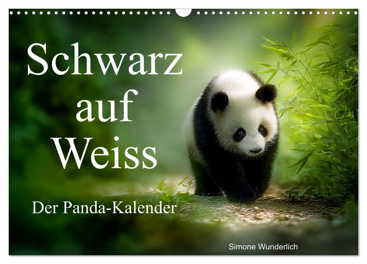 Schwarz auf Weiß - Der Panda-Kalender (Wandkalender 2026 DIN A3 quer), CALVENDO Monatskalender: „Pandas im Glück“ - Ein Jahr zwischen Bambus und Behaglichkeit! (CALVENDO Tiere) Social Sciences