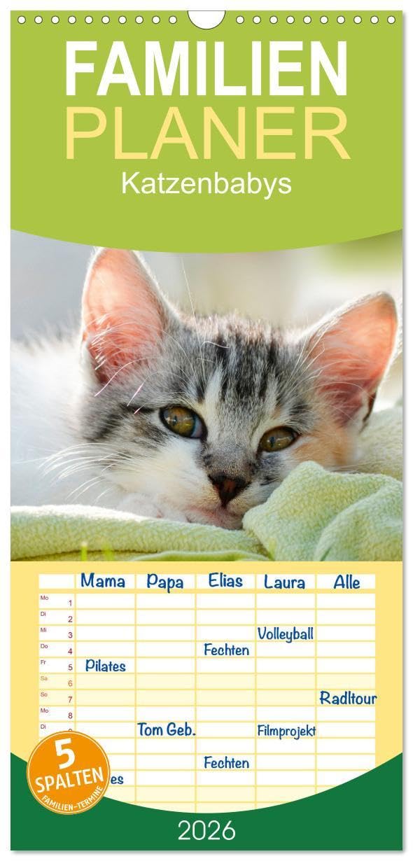 Familienplaner 2026 - Katzenbabys mit 5 Spalten (Wandkalender, 21 x 45 cm) CALVENDO: Katzenkalender mit Baby Katzen (CALVENDO Tiere) Natural Sciences