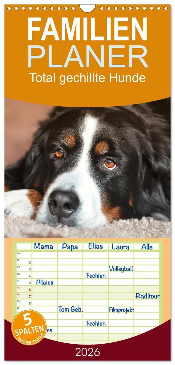 Familienplaner 2026 - Total gechillte Hunde mit 5 Spalten (Wandkalender, 21 x 45 cm) CALVENDO: Hundekalender mit gechillten Hunden (CALVENDO Tiere) Natural Sciences