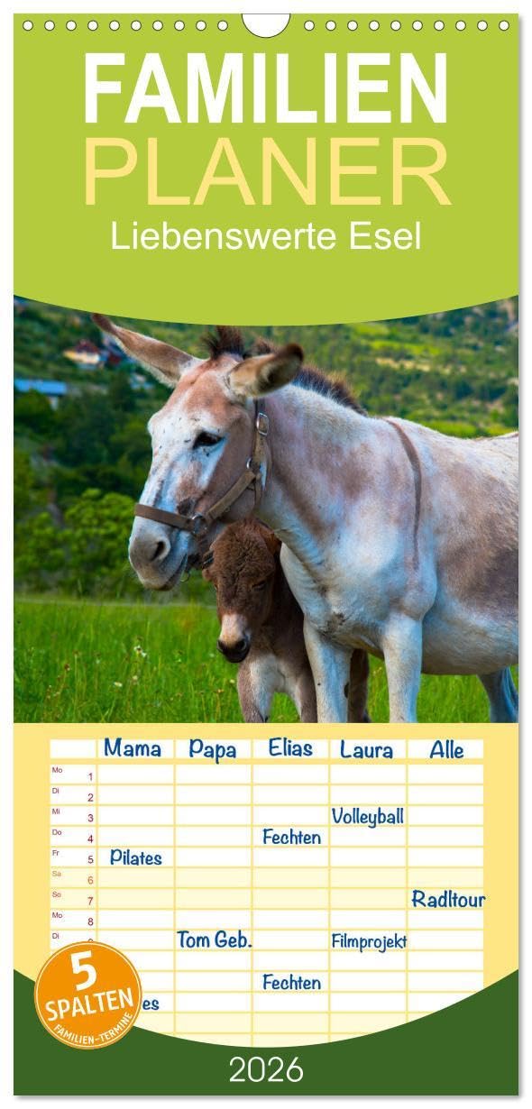 Familienplaner 2026 - Liebenswerte Esel mit 5 Spalten (Wandkalender, 21 x 45 cm) CALVENDO: Putzige Langohren in jeder Situation, wer mag diese sympathischen Tiere nicht? (CALVENDO Tiere) Medicine
