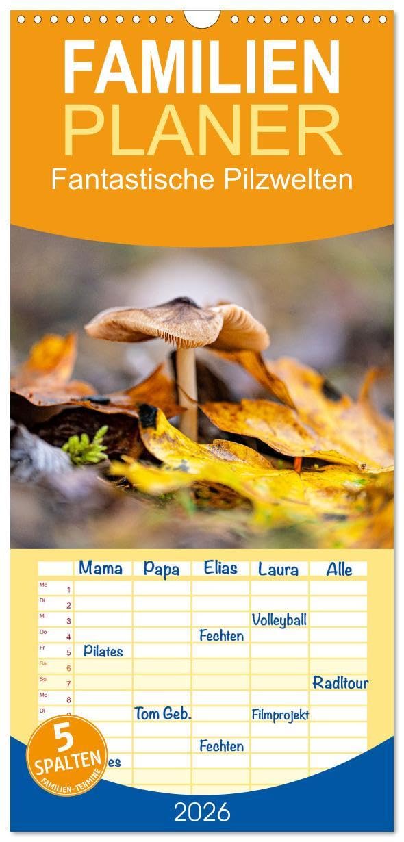 Familienplaner 2026 - Fantastische Pilzwelten mit 5 Spalten (Wandkalender, 21 x 45 cm) CALVENDO: Pilze sind unglaublich vielfältig. (CALVENDO Natur) Social Sciences