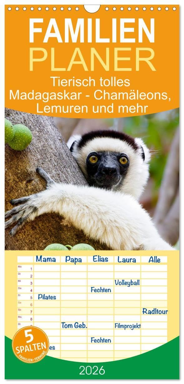 Familienplaner 2026 - Tierisch tolles Madagaskar - Chamäleons, Lemuren und mehr mit 5 Spalten (Wandkalender, 21 x 45 cm) CALVENDO: Portraits ... und goldiger Lemuren (CALVENDO Tiere) Natural Sciences