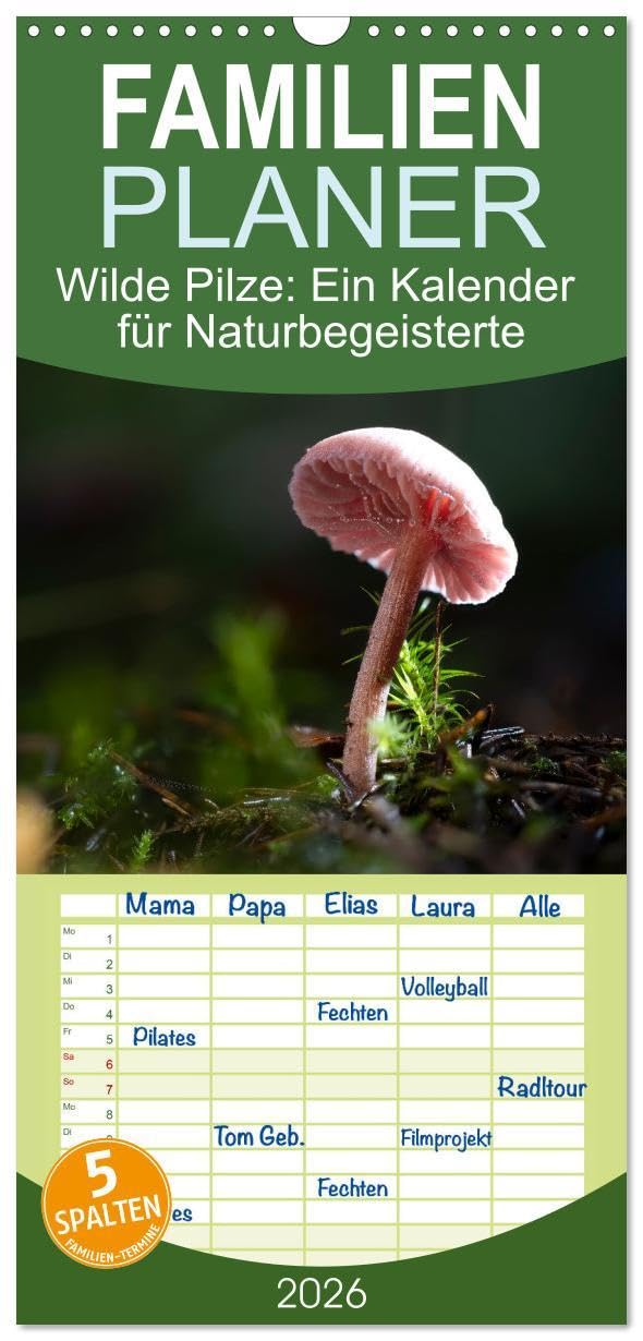 Familienplaner 2026 - Wilde Pilze: Ein Kalender für Naturbegeisterte mit 5 Spalten (Wandkalender, 21 x 45 cm) CALVENDO: Heimische Pilze ansprechend fotografiert (CALVENDO Natur) Photography