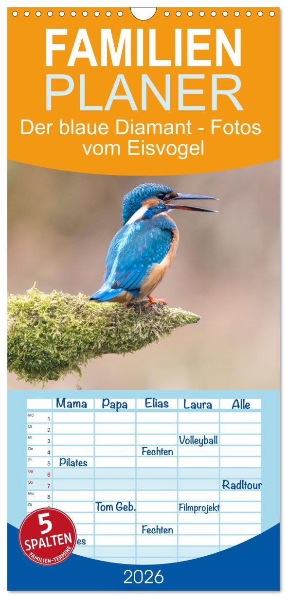 Familienplaner 2026 - Der blaue Diamant - Fotos vom Eisvogel mit 5 Spalten (Wandkalender, 21 x 45 cm) CALVENDO: Der Eisvogel - Ein kleiner Diamant in deutschen Gewässern (CALVENDO Tiere) Photography