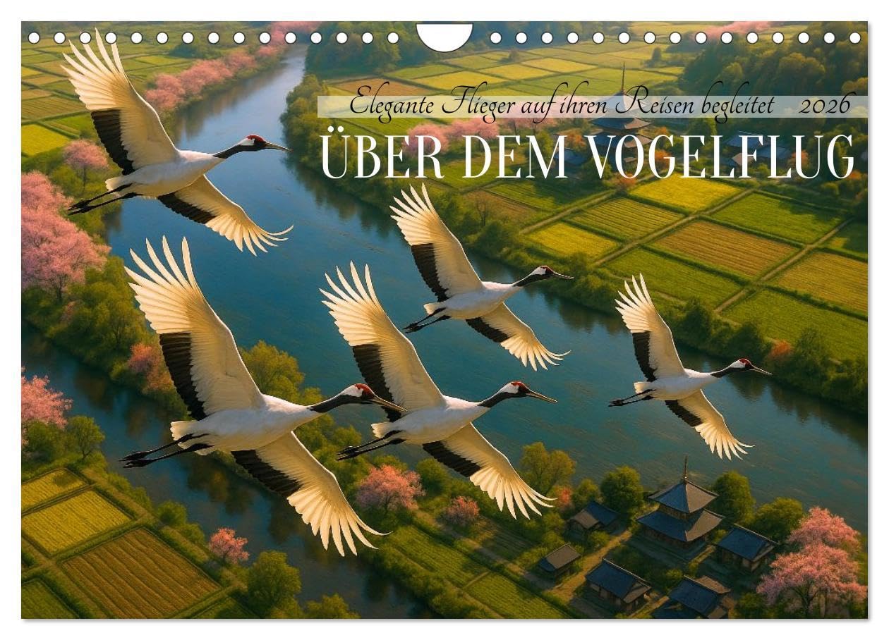 Über dem Vogelflug (Wandkalender 2026 DIN A4 quer), CALVENDO Monatskalender: Faszinierende Momente und außergewöhnliche Perspektiven der eleganten Flieger (CALVENDO Tiere) Natural Sciences