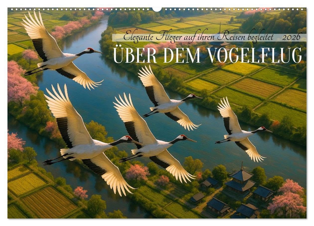 Über dem Vogelflug (Wandkalender 2026 DIN A2 quer), CALVENDO Monatskalender: Faszinierende Momente und außergewöhnliche Perspektiven der eleganten Flieger (CALVENDO Tiere) Natural Sciences