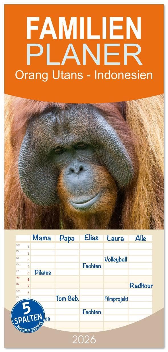 Familienplaner 2026 - Orang Utans - Indonesien mit 5 Spalten (Wandkalender, 21 x 45 cm) CALVENDO: Orang Utans - aufgenommen in Kalimantan/Indonesien (CALVENDO Tiere) Leisure, Home & Garden