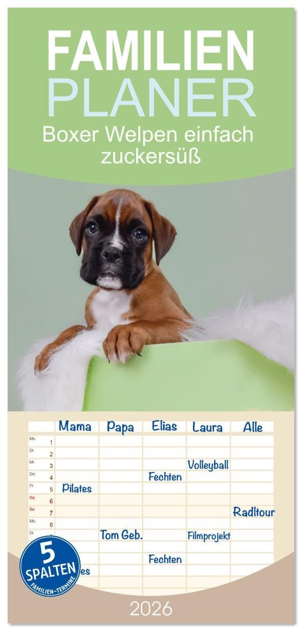 Familienplaner 2026 - Boxer Welpen einfach zuckersüß mit 5 Spalten (Wandkalender, 21 x 45 cm) CALVENDO: Lass dich von den süßesten Boxerwelpen ... dein Herz erobern. (CALVENDO Tiere) Social Sciences