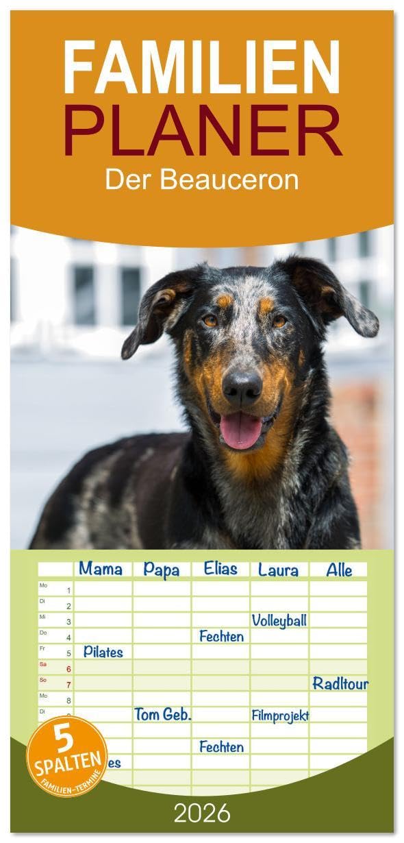 Familienplaner 2026 - Der Beauceron mit 5 Spalten (Wandkalender, 21 x 45 cm) CALVENDO: Der Beauceron ist eine alte französische Hunderasse, die ... Wachhund gezüchtet wurde. (CALVENDO Tiere) Natural Sciences